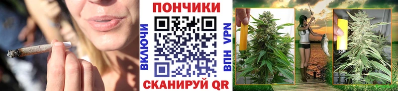 Где купить наркотики Новоржев АМФЕТАМИН ГАШ Канабис Alpha PVP