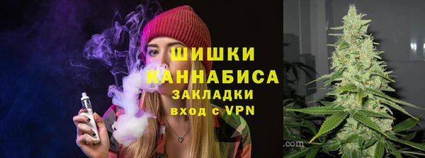 индика Володарск