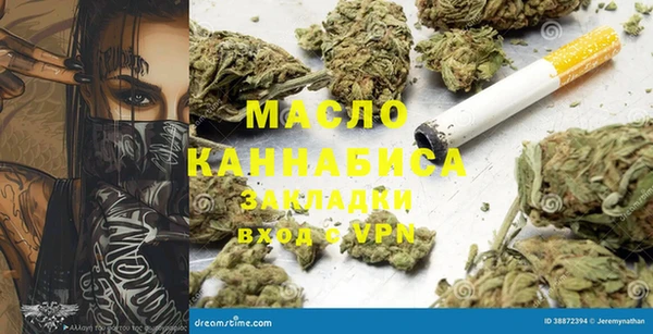 индика Володарск