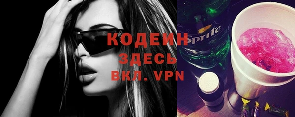 индика Володарск