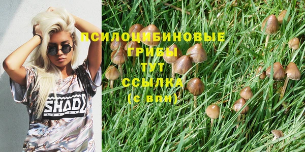 твердый Волосово