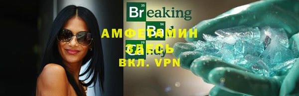 индика Володарск
