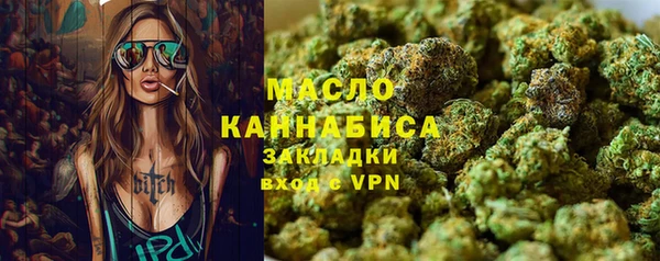 индика Володарск