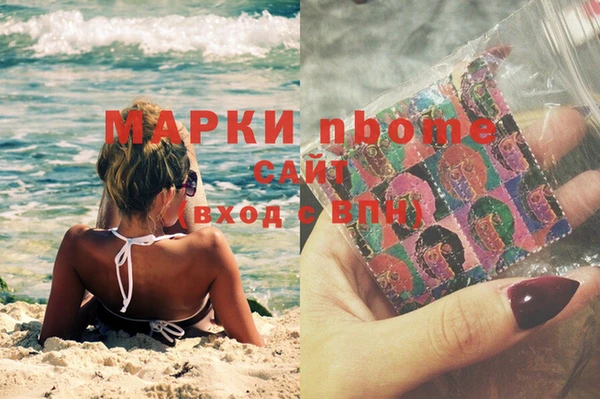индика Володарск