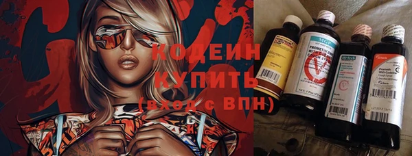 индика Володарск
