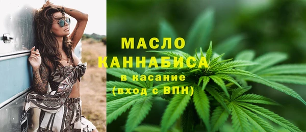 2c-b Бородино