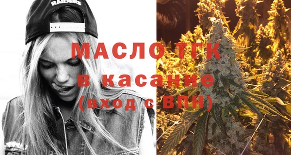 индика Володарск