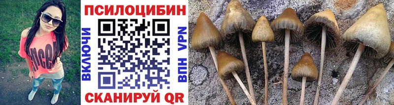 Галлюциногенные грибы мухоморы  купить закладку  Новоржев 