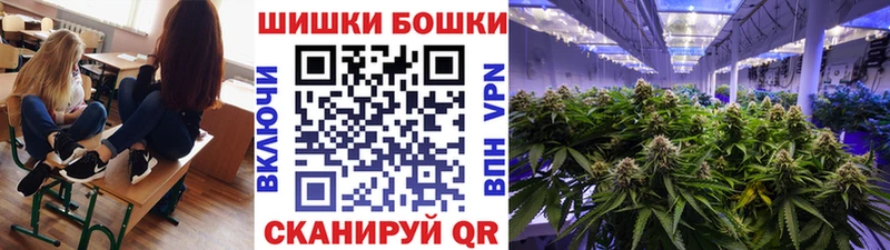 где можно купить наркотик  Новоржев  Шишки марихуана Amnesia 